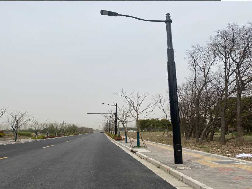 东明县上海综合杆 太阳能路灯工程